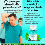 DEOS - Desodorante Interno